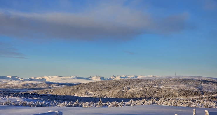 Utsikt Vaset. Foto: Mina Taraldsrud 