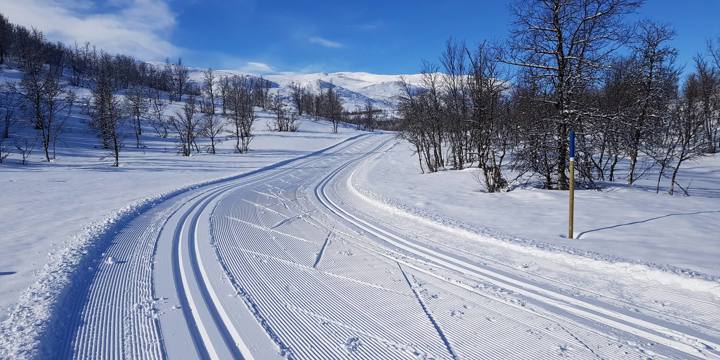 Skiløyper