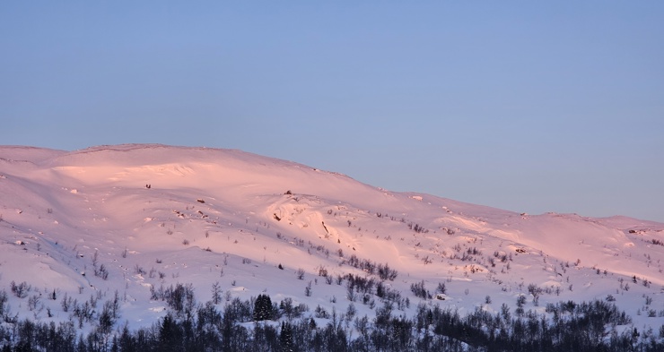 Vaset. Foto: Mina Taraldsrud 